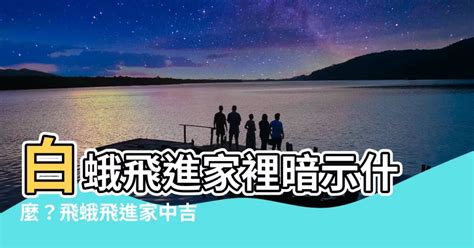 白蛾飛進家裡|習俗百科／家中出現大量飛蛾是凶兆？暗示「兩事」將。